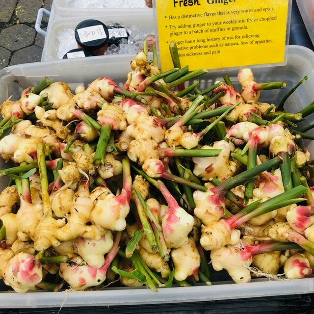 Fresh ginger roots displayed in a bin at a market, showcasing their unique flavor and culinary uses. The roots are partially peeled, revealing their pale yellow flesh and pinkish tips. A sign highlights the benefits of ginger for cooking and its medicinal properties, including relief from nausea and digestive issues.